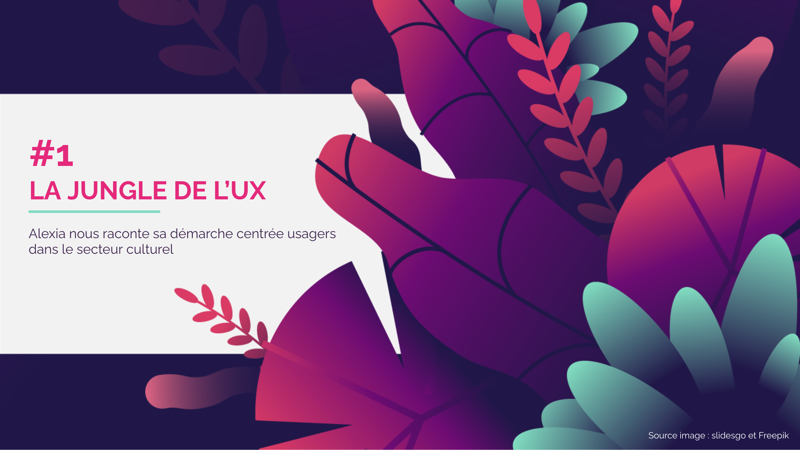 couverture décorative de l'article #jungleux